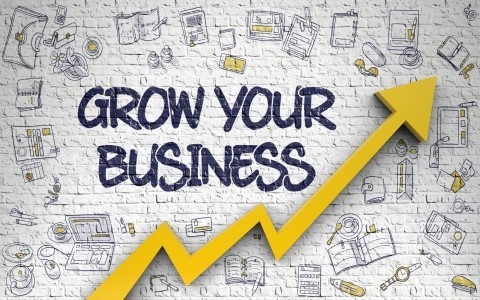 Leveraging Artificial Intelligence for Business Success