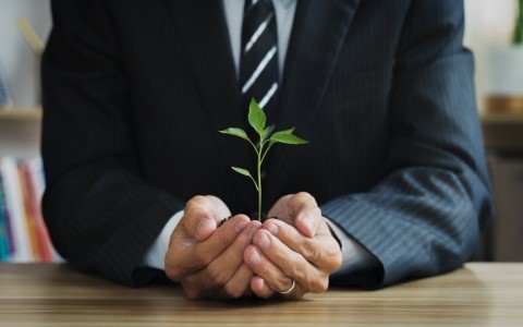 Leveraging Artificial Intelligence for Business Success
